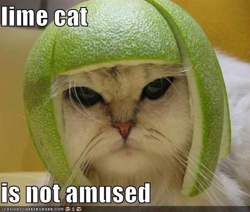 dance_hard's tweet image. Boys suck. #gayboyproblems #yoyolove #pendulum #yesorno