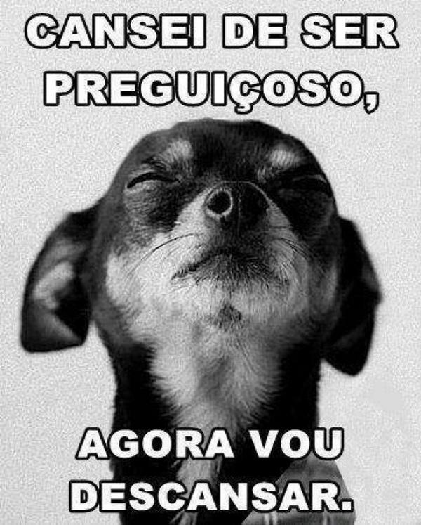 Michael Rocha on Twitter: Michael Rocha on Twitter: