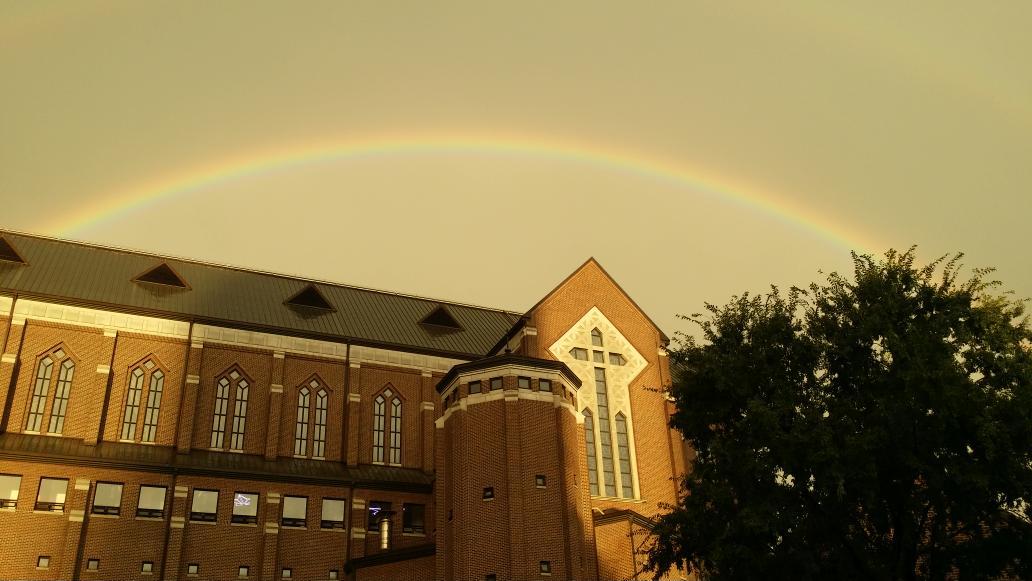 담아간 이미지 고유 주소
