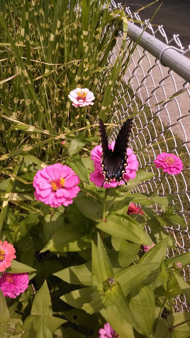 Happy Birthday: have a great day :-) 