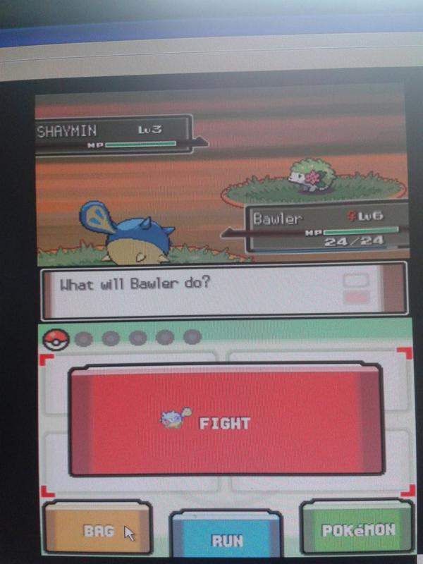 Prizm99_'s tweet photo. @TheKingNappy Platinum randomizer, first route encounter... http://t.co/o16vFB8udy