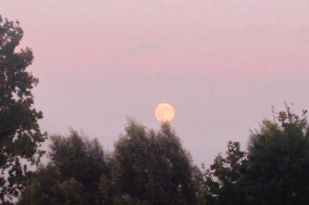 Une «super lune» a illuminé le ciel belge ce dimanche soir Bus283ECUAEddAT