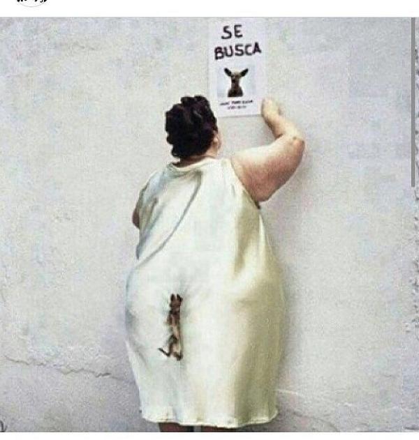 PedroLoliPeru's tweet photo. Se perdió un guau guau 🐶 jajajaja 😄 #probecito http://t.co/mMHl5R5rml