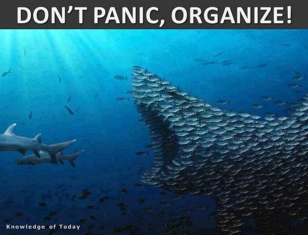LindaAyres311's tweet photo. #WorkCompFraud and Crimes got you down? Don't Panic..! #InjuredWorkersUniting:#SilentNoMore
http://t.co/Hh2Xtiw74E http://t.co/J171D7FTM3