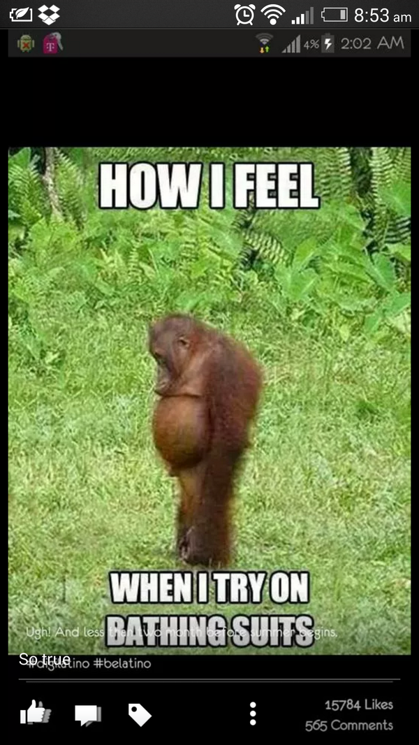 Chris Newsham tweet media