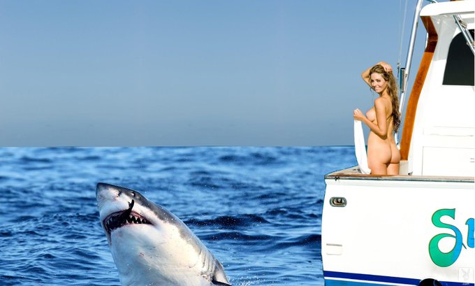 "@elskovssyge: @justshawn7 Happy Shark Week! #gorgeous #playmate #loveyou http://t.co/bHacR84hEK" haha<a class="tags" target="_blank" title="On Twitter" href="/?out=eyJ0eXAiOiJKV1QiLCJhbGciOiJIUzUxMiJ9.eyJpYXQiOjE3MjQwMzM0ODEsImlzcyI6InR3cG9ybnN0YXJzLmNvbSIsIm5iZiI6MTcyNDAzMzQ4MSwiZXhwIjoxNzU1NTY5NDgxLCJyZWRpcmVjdF91cmwiOiJodHRwczovL3R3aXR0ZXIuY29tL2Vsc2tvdnNzeWdlIn0.V65IJxnsRPo2KnBqA8vH0IjWUUhae4xCKcvYTn8nc7I7kf2ItXvWbk0uGr3_5aq9Dd8Mxo8BMlJFptIInUCx2Q">@elskovssyge</a><a class="tags" href="/tag/justshawn7">@justshawn7</a><a href="/tag/gorgeous"class="tags">#gorgeous</a><a href="/tag/playmate"class="tags"><span>#playmate</span></a><a href="/tag/loveyou"class="tags"><span>#loveyou</span></a>