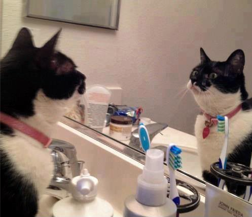 RealJohnRice's tweet photo. 'I look quiet distinguished ... really' !!! https://t.co/SYIUV7OWfn https://t.co/NDyywA4pF2 ☼