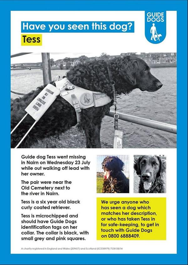 jess_920's tweet photo. @JohnBishop100 Guide dog Tess is STILL missing from Nairn #Scotland. Pls RT &amp; help #FindTess http://t.co/0cEMddigvI http://t.co/gRmcBw7qdO