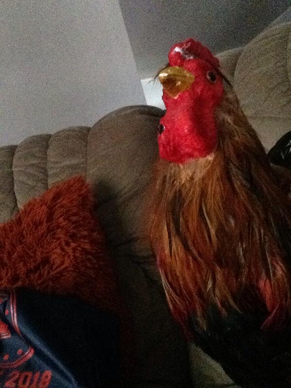 theroosterlarry's tweet photo. Morning selfie 😜 http://t.co/SO9SIc2c3Y