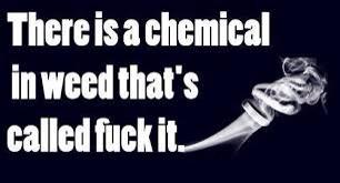 SPILFFYSMFFY's tweet photo. @WeedHumor @HighMinds420 @Stevestoner420 @bigdug13 @_WEEDP0RN_ @Blunt_Masta_Jay @jmsmcilkenny @justlegalize http://t.co/zvnJFXwWev