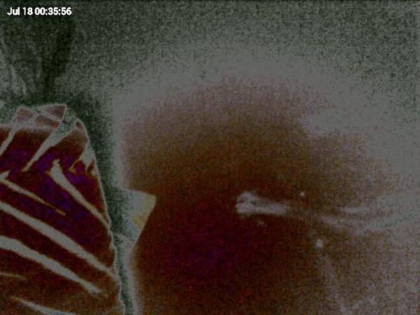 UFO_tweets tweet media