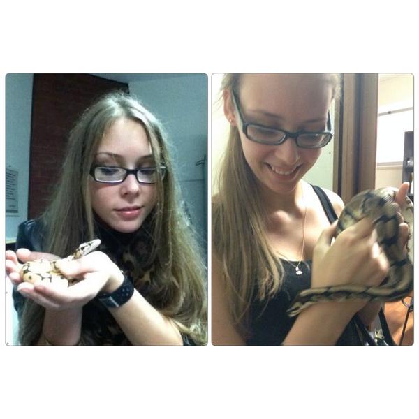 One year later - babies are growing up so fast :) #ballpython