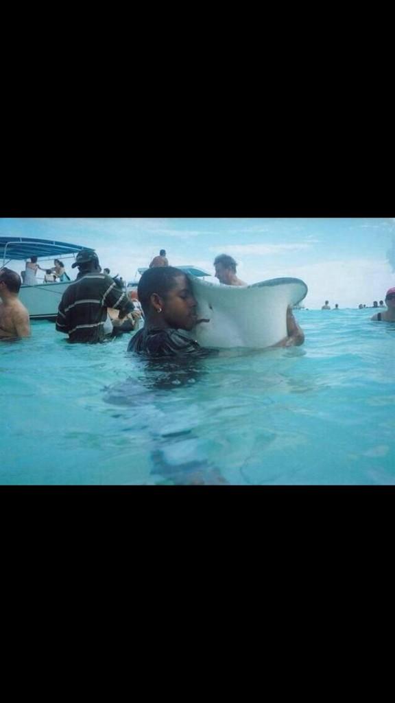IncrediblePics's tweet photo. When you lose your stingray then find it again http://t.co/mj5xX8i6g9