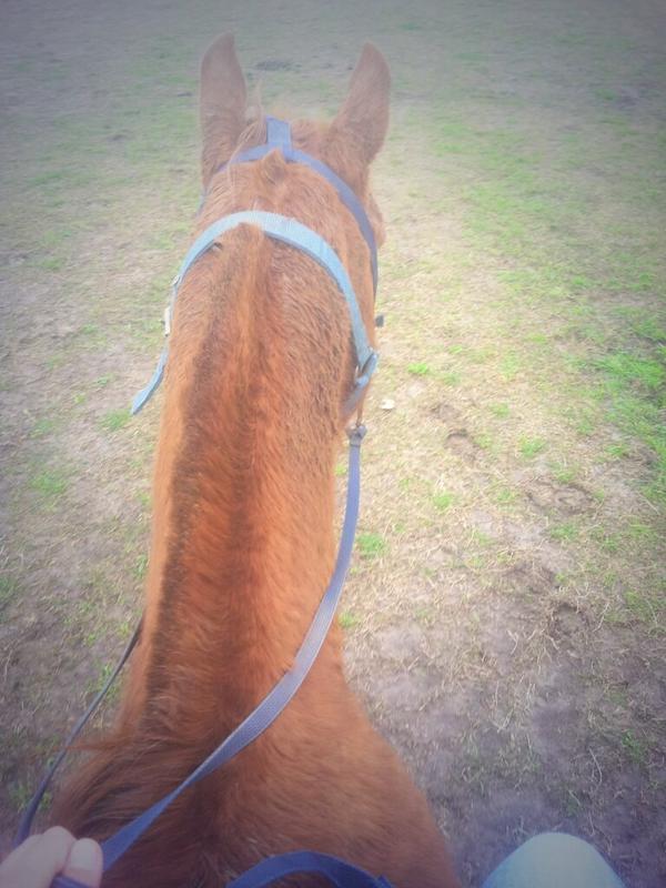 Maqui Iruleguy tweet media