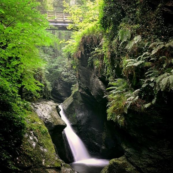 JiriSiftar's tweet image. Another wonderful place on #IsleOfMan 😳🌳💦 #travel #waterfall #tree #forest #glenmae #summer ift.tt/1ozi2Xt