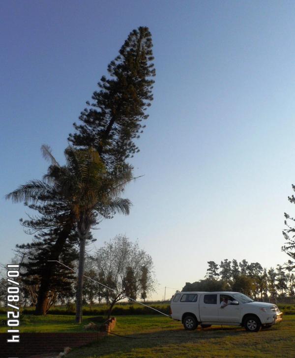 IzakPerold87's tweet photo. @CARmagSA Who needs an excavator? (Izak Perold, Wellington) #HiluxSelfie #Where2next? http://t.co/lWmzV4bYls