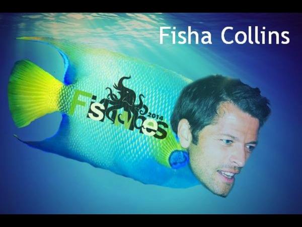 Hannahjo0825's tweet photo. @mishacollins #fishacollins #GISHWHES2014 #GISHWHES #GISHWHESspecieshybridization http://t.co/eArSvT0ntH