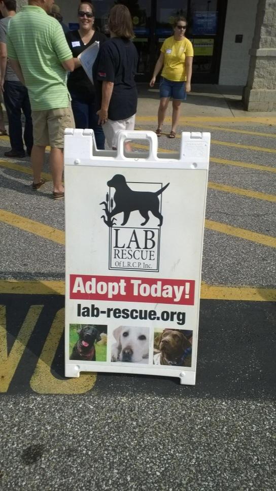 tamiqPSM0359's tweet photo. Annapolis today.  8 great Adoptions so far http://t.co/RXsmzyPgfk