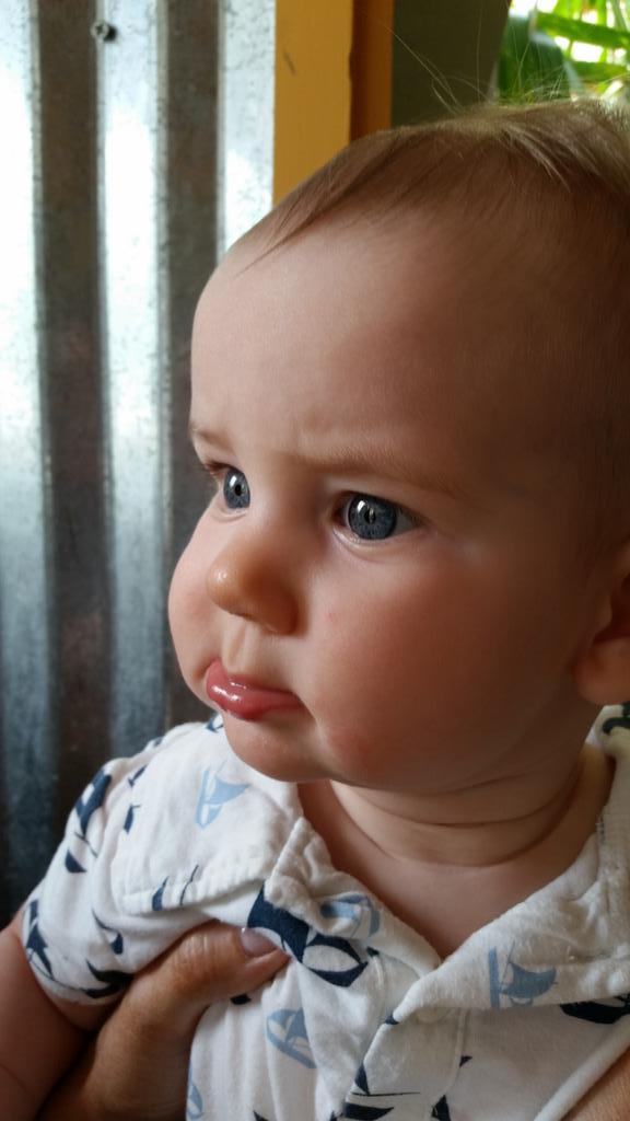 That is tremendous. RT <a href="/RYANSTAFFORD/">Ryan Stafford</a>: @pistolsguy a young #eddie in training!
#okstate