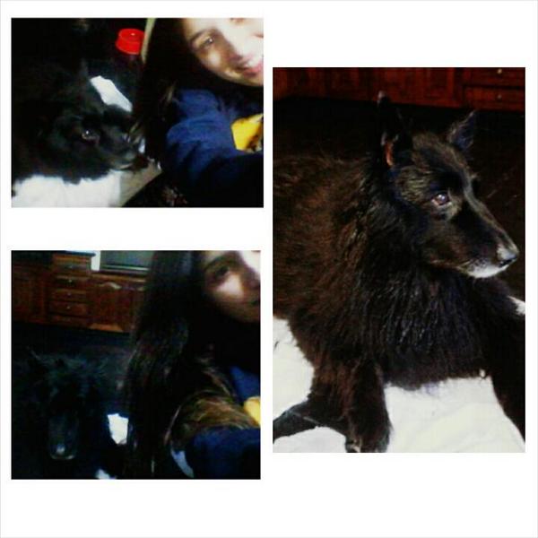 iarau's tweet photo. Después de tomarse un baño ♡♡ http://t.co/ao6FkPxkLE