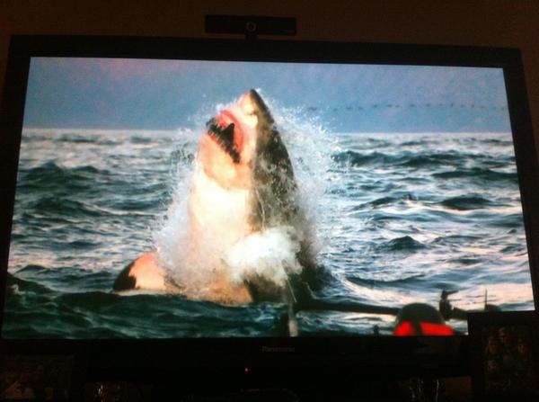 Been waiting a year for #SharkWeek so happy!!!