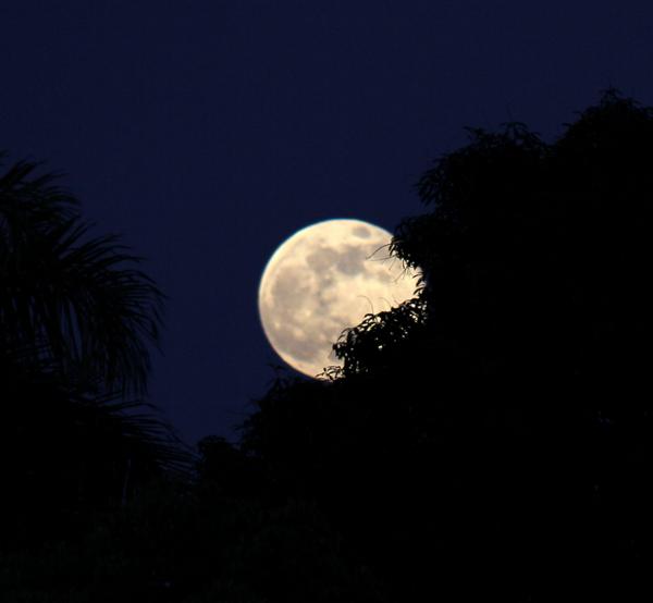 neslynm's tweet photo. #HuffPostSupermoon A very bright and big supermoon over Puerto Rico http://t.co/Nkk7faPqIS
