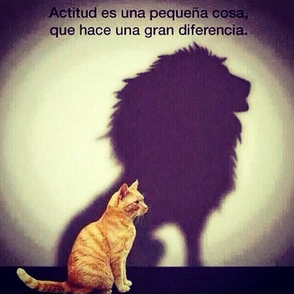 SergioRamos's tweet photo. “@AlejandroSanz: Un consejo de mi amigo @SergioRamos http://t.co/SQweCSLbcW”…Tú si que vales “compadre..!! Jejejejeje.