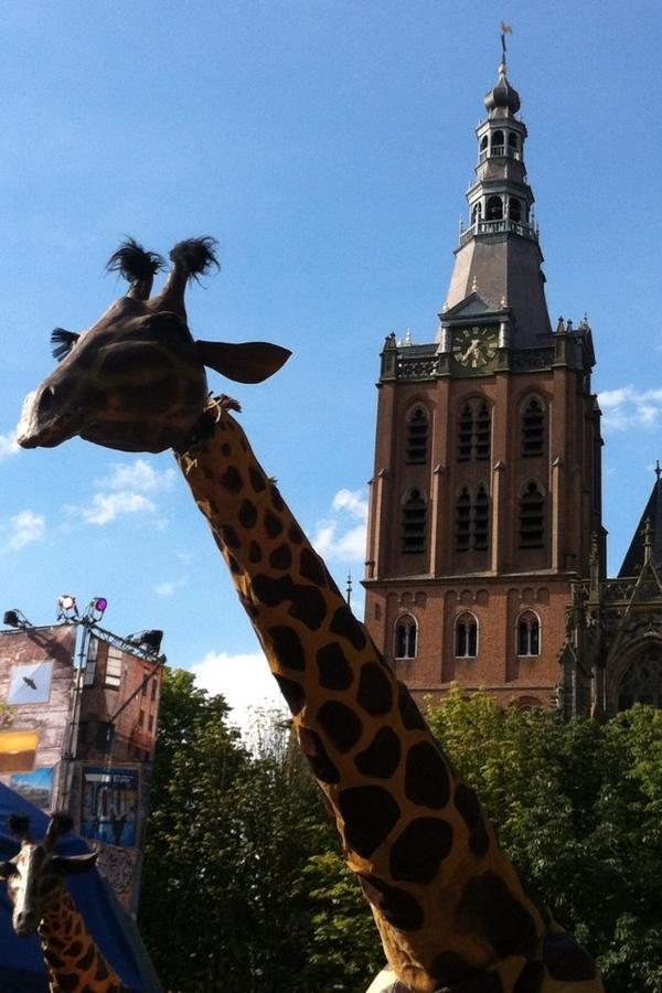 Leuke act hebben jullie #teatropavana