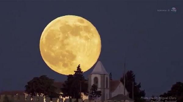 Gömülü resim için kalıcı bağlantı