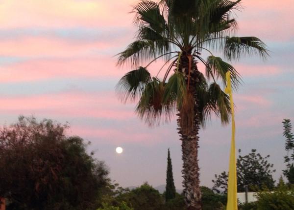 qelleq's tweet photo. A #supermoon on #Ibiza! Wow! Check out http://t.co/CdzsOddvca http://t.co/aJb8utrIPs