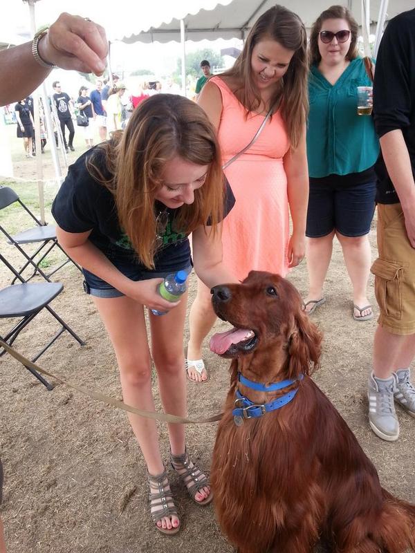 ninja_cornell's tweet photo. Cooling off with the Native dogs of Ireland @IrishFairMN #IFM #IFM2014 #dogs http://t.co/DKdOtVLb5l