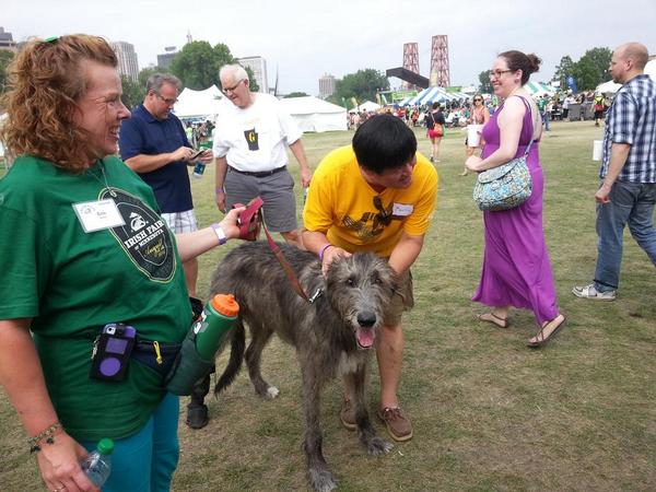 ninja_cornell's tweet photo. Cooling off with the Native dogs of Ireland @IrishFairMN #IFM #IFM2014 #dogs http://t.co/DKdOtVLb5l