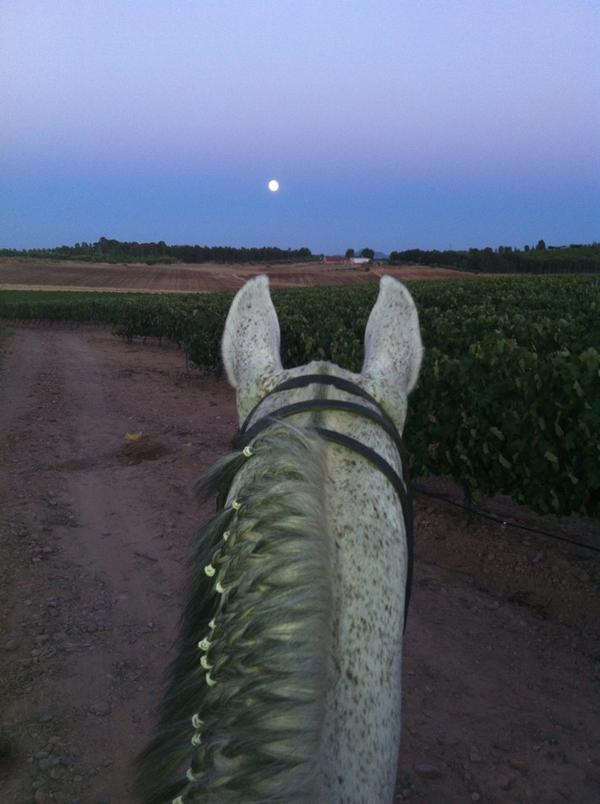 16_sergiok's tweet photo. Con la luna por testigo.... http://t.co/VhqkDcWTuV