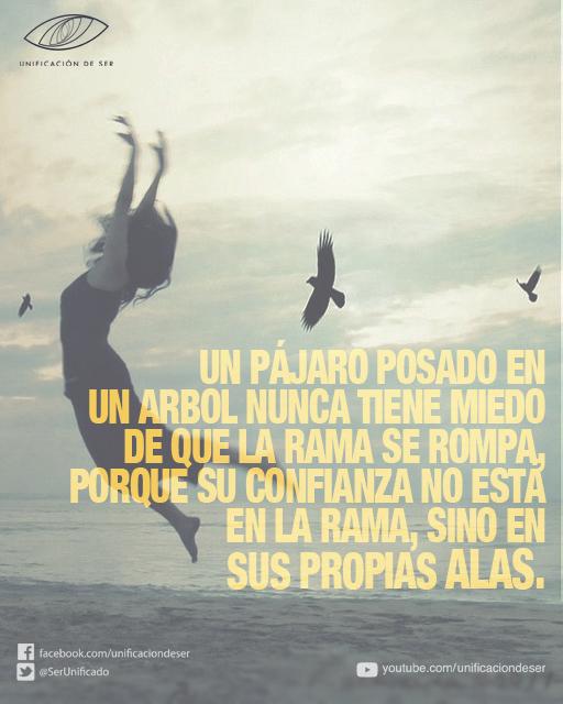 SerUnificado's tweet photo. Nunca dejes de creer en ti, porque el día que dejes de creer en ti y en lo que anhelas, cortarás tus propias alas. http://t.co/1hAtGPlViF