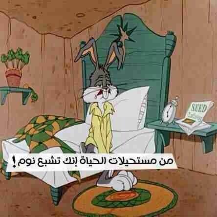 millionaireloay's tweet photo. صح http://t.co/sUEut5esAe