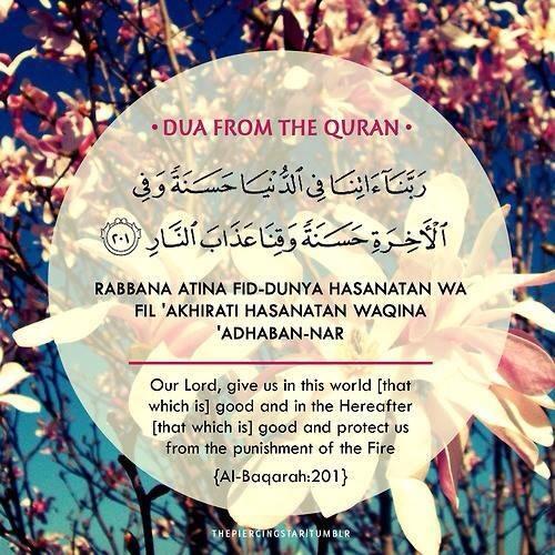 donya ashmawi (@dashmawi) on Twitter photo 