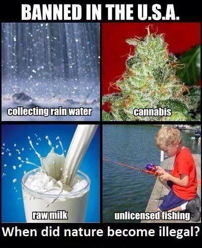 TheStonerStewie's tweet photo. @trutherbot http://t.co/3KpNdWE97B