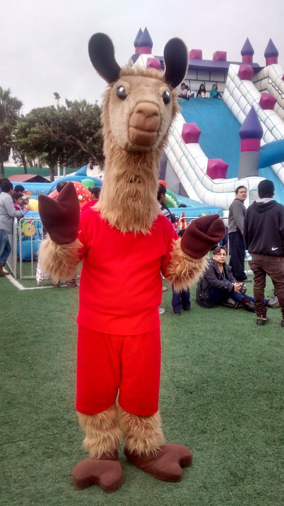 FeriadelhogarOf's tweet photo. Nuestra Llama esta tomándose fotos con todos los asistentes a la #FeriadelHogar http://t.co/SUeELssNHe