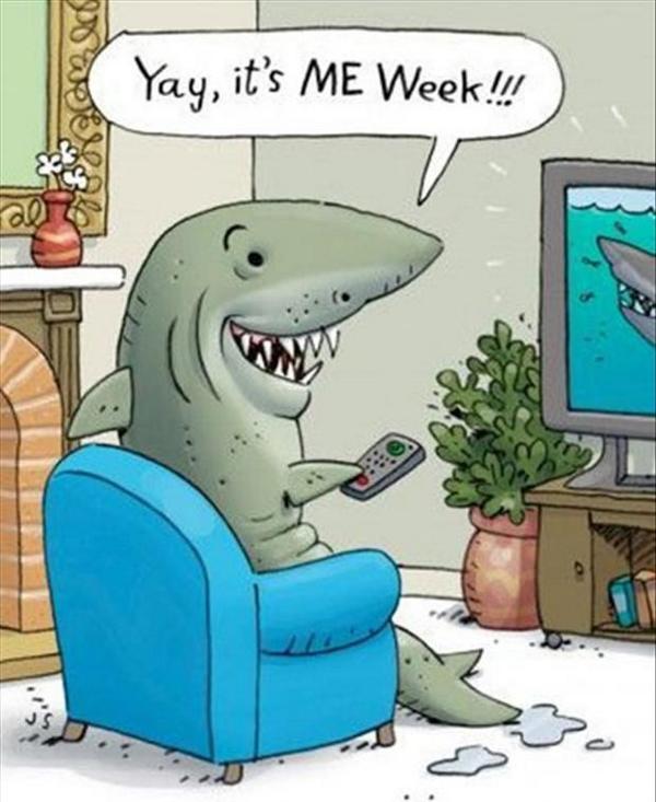 courtneymperry's tweet image. #SharkWeek #FavoriteWeek #ILoveSharks