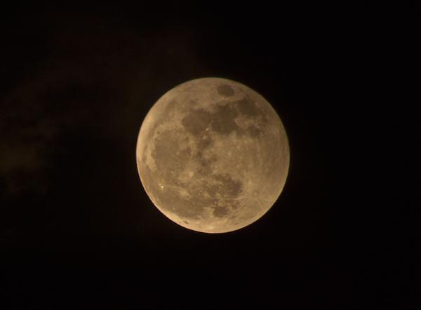 hpreo2014's tweet photo. Ōturu, Rākaunui = Supermoon Me he ōturu ngā karu. The large eyes of an attractive woman #tereo #kīwaha http://t.co/gVTiUAkeA4