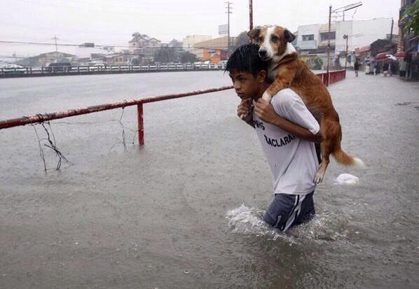 Un niño carga a su perro a través de la inundación causada por la lluvia monzónica en Manila, Filipinas.