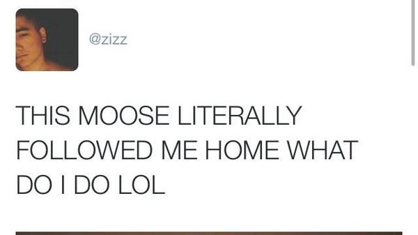 miilkkk's tweet photo. LMAO i wasn't ready http://t.co/b1FkrNswc7