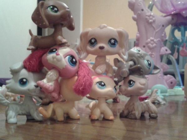LpsGenie's tweet photo. New Lps! Form Thrift Store 2 Brooke's 2 Colllies!!!😄😊😊😊 Cat Doxan Cocker Spaniel and some dog http://t.co/SHsqaa5LqM