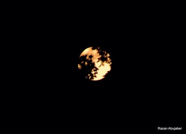 RazanAbujaber's tweet photo. #supermoon2014 #HuffPostSupermoon http://t.co/2myhBf4FDl