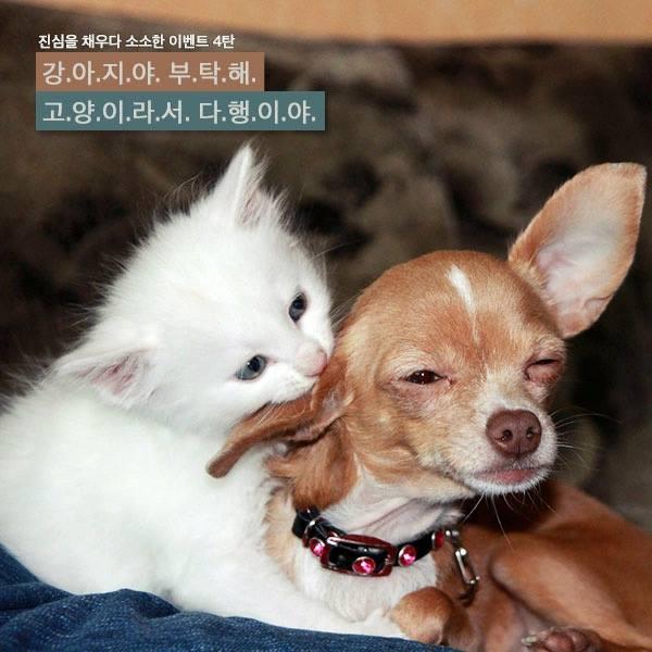 smallcommer's tweet image. 이런 이벤트 좋아요^^소개하기도 뿌듯하공 ㅋ 재밌는 댓글까지 남길 수 있다면 꼭! 도전해보시죠? 페친 소환시엔 당첨확률도 올라간다는군여. 베스킨라빈스 기프권도 있고  me2.do/FjBiuOit