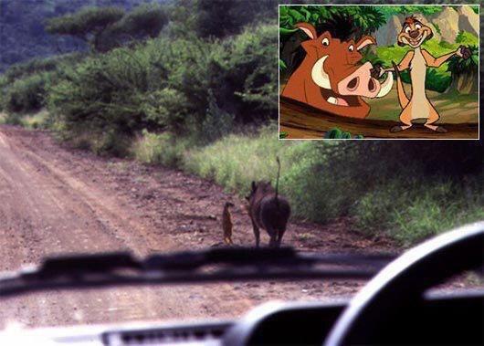 jnxLP's tweet photo. Woow. They exist :) http://t.co/ZtS7C17YgH