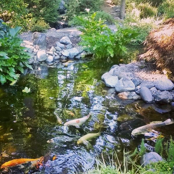 A sneak peek of #NWFGS exhibitor @thepondstore 's Pond Tour! Check September's calendirt.com for details.