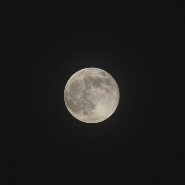 MikeSeeley's tweet photo. My shot last night wasn't the REAL #supermoon2014. These are from 8:43p-8:51p from Melbourne, FL #HuffPostSupermoon http://t.co/utTkfhSyva