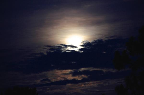 MikeSeeley's tweet photo. My shot last night wasn't the REAL #supermoon2014. These are from 8:43p-8:51p from Melbourne, FL #HuffPostSupermoon http://t.co/utTkfhSyva