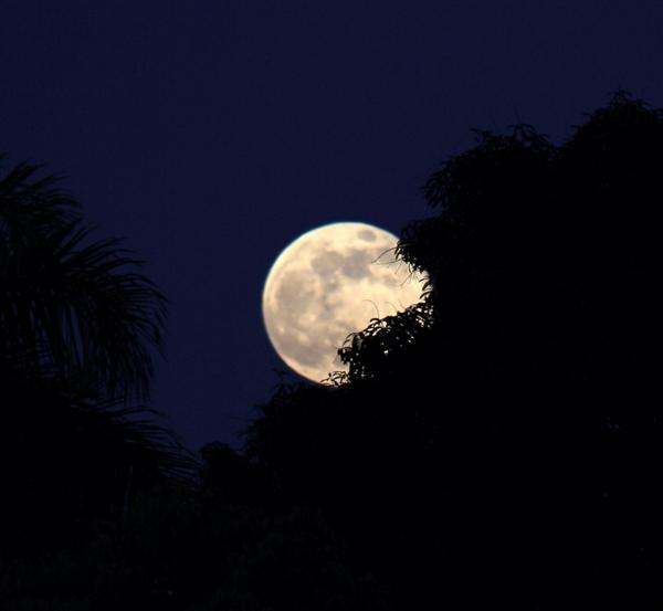 neslynm's tweet photo. August's supermoon over Puerto Rico @TODAYshow #OrangeRoom http://t.co/apSg258r3m